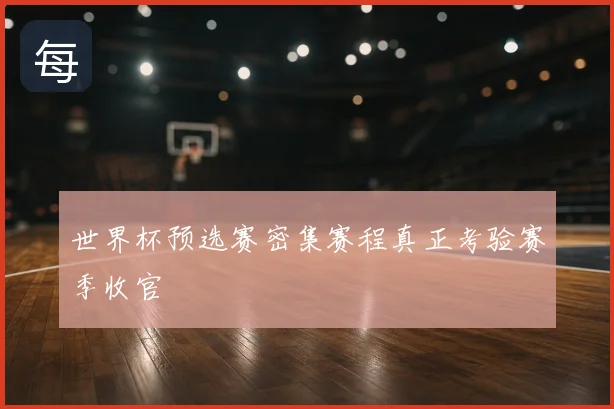 世界杯预选赛密集赛程真正考验赛季收官
