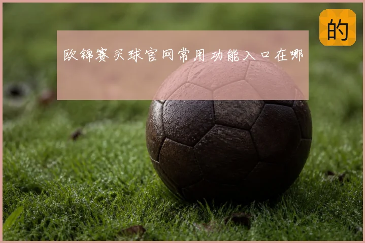 欧锦赛买球官网常用功能入口在哪